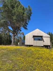 Zahrada ubytování Alojamiento y Desayuno Privado de Lujo C1B