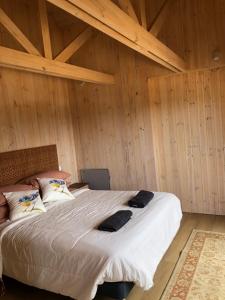 Postel nebo postele na pokoji v ubytování Alojamiento y Desayuno Privado de Lujo C1B