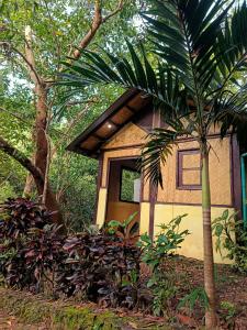 ein kleines Haus mit einer Palme davor in der Unterkunft Busuanga Backpackers in Busuanga