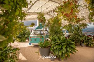a blue van parked in a greenhouse with plants at Jungle at 24, City Views and Wonderland Vibes! in Hatillo