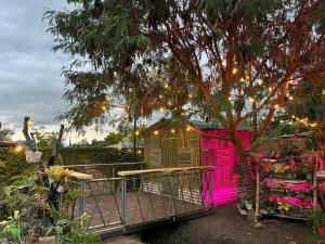 Κήπος έξω από το Cabaña PANDORA en los Ceibos +14 φωτογραφίες