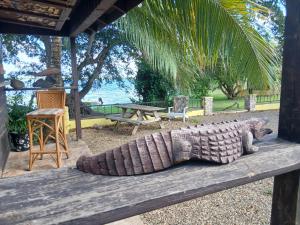 a cat laying on top of a wooden bench at CROOКED TREE LODGE Belize in Crooked Tree +29 photos
