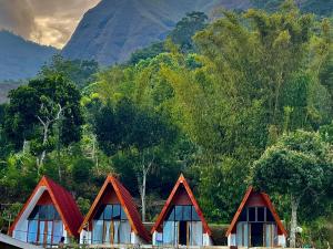 Příroda nedaleko penzionu