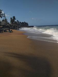 una playa de arena con olas, palmeras y el océano en Indivilla, en Kalutara 44 fotos más