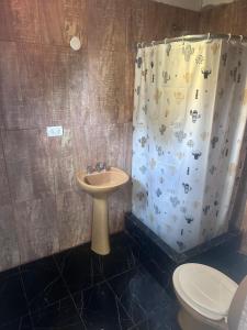 un bagno con lavandino e tenda da doccia di Chalet en Mogotes a Mar del Plata