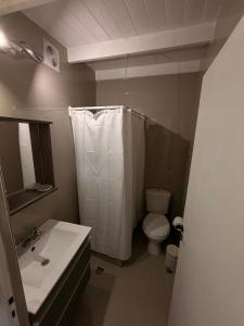 ein Badezimmer mit Toilette, Dusche und Waschbecken in der Unterkunft Cocheras Ezeiza Victoria in Ezeiza