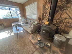 a living room with a couch and a stove at Peaceful Big Bear Cabin in Baldwin Lake