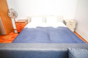 布拉格Spacious Studio with private garden的一间卧室配有蓝色的床和风扇