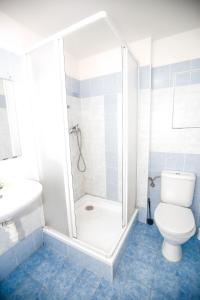布拉格Spacious Studio with private garden的带淋浴、马桶和水槽的浴室