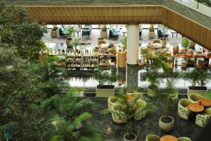 Vista aérea de un centro comercial con plantas en Grand Josun Jeju, en Seogwipo