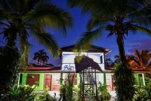 uma casa com palmeiras na frente em Chinitas Eco Lodge em Tortuguero