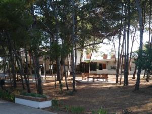 a park with a bench and trees in front of a building at Hotel Kyrie Isole Tremiti in San Domino