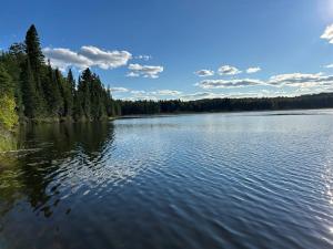 een grote hoeveelheid water met bomen op de achtergrond bij Rutledge Lake Retreat in Bancroft