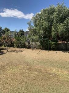 a soccer goal in a field with a tree at Hosts on the Coast Titoki Palms in Matarangi