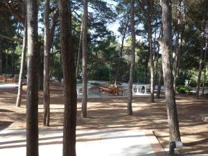 a park with a bunch of trees and picnic tables at Hotel Kyrie Isole Tremiti in San Domino