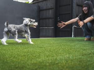 Fotografie z fotogalerie ubytování Izumo Biyori - Vacation STAY 66967v v destinaci Izumo