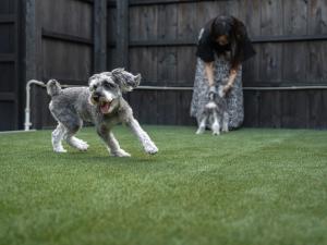 Fotografie z fotogalerie ubytování Izumo Biyori - Vacation STAY 66967v v destinaci Izumo