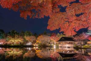a night view of a pond with a house and trees at ラフィーネハイツ201 in Fuchu