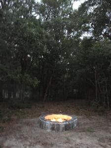 Φωτογραφία από το άλμπουμ του Private 4 acre Country Retreat by Rainbow Springs σε Οκάλα