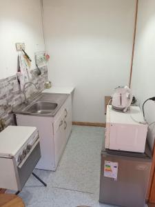 Kuchyň nebo kuchyňský kout v ubytování Hostal Costa patagonica + 8 fotografií