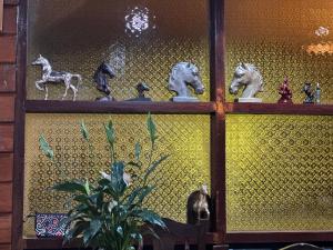 a glass shelf with horse figurines on it at อิ๊กขะหลิ๊ก โฮมสเตย์ริมน้ำน่าน in Nan +13 photos