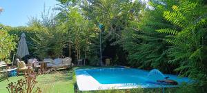 Πισίνα στο ή κοντά στο Casa en La Reina Alta