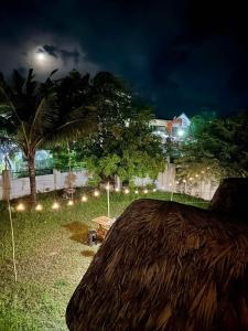 Κήπος έξω από το Beach Side Cabin San Juan ELYU