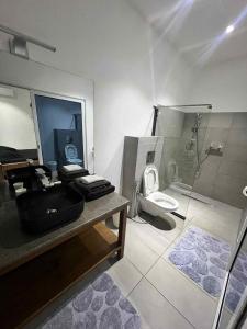 ein Badezimmer mit Toilette, Waschbecken und Dusche in der Unterkunft Villa MICKA Nosy be in Hell-Ville
