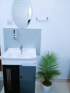 a bathroom with a sink and a mirror and a plant at Alappuzha Family Vacation Villa - LAYANILA in Alleppey