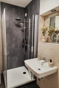 a bathroom with a shower and a white sink at Kurpark Suite in Bad Rodach