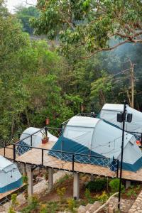 Zahrada ubytování HeHa Sky Camping