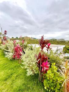 een rij bloemen en planten in een tuin bij Refúgio Urbano in Jacareí