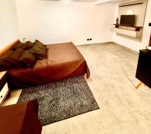 een slaapkamer met een bed en een tapijt bij Refúgio Urbano in Jacareí