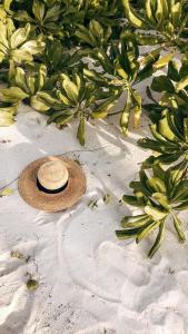 a straw hat sitting on the beach next to bananas at Villa Familly in Saint-Paul