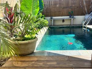 a swimming pool with a potted plant next to it at Villa Familly in Saint-Paul