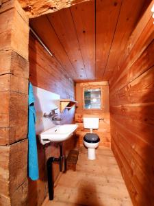 a wooden bathroom with a sink and a toilet at Ferienhaus Unteraxen in Sisikon