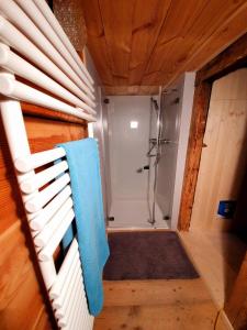 a bathroom with a shower and a blue towel at Ferienhaus Unteraxen in Sisikon