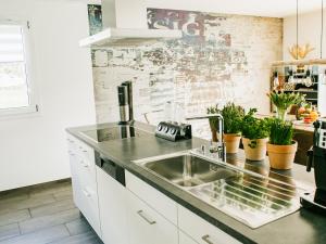 a kitchen with a sink and a counter with plants at Ferienhausträume Oase Bodensee in Kreuzlingen