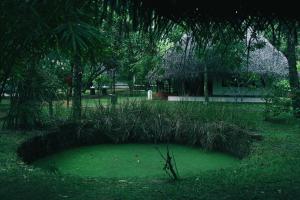 a garden with a green pond in the grass at Marari Beach Resort Alleppey - A CGH Earth Experience in Alleppey +199 photos