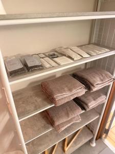 Fotografie z fotogalerie ubytování Villa 水と深緑 v destinaci Azumino