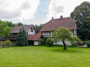 a house with a green yard with a tree at Forsthaus Halbemark in Bad Sooden-Allendorf