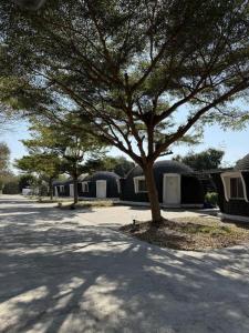 a tree in a parking lot next to some houses at Eskimo Resort in Ban Pa Kruat