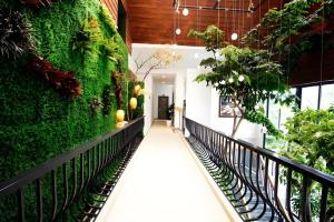 a hallway of a building with a green wall at Green Oasis Hotel in Phường Sáu