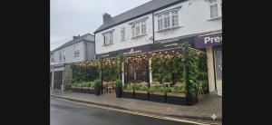 ein Ladenlokal mit Pflanzen und Lichtern an einer Straße in der Unterkunft Mulberry Suites in Cleethorpes