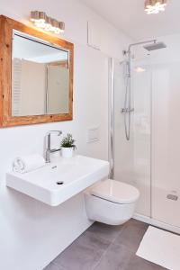 een badkamer met een wastafel, een toilet en een douche bij Weinberg Lodge - Kellerstöckl in Klöch
