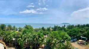 une vue aérienne sur une bande de palmiers dans l'établissement Hon Ngu Hotel Cua Lo Beach, à Dong Quan