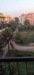 a view of a palm tree from a window at Krishna Divine 2 Bedroom Home in mayapur