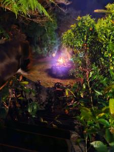 Nachts brennt ein Feuer im Garten in der Unterkunft Nature at its Best in Amodeo Bay