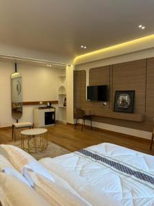 TV a/nebo společenská místnost v ubytování Hotel Woodland