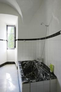 La salle de bains est pourvue d'un lavabo et d'une douche. dans l'établissement Chateau de Lugagnac, à Rivière-sur-Tarn